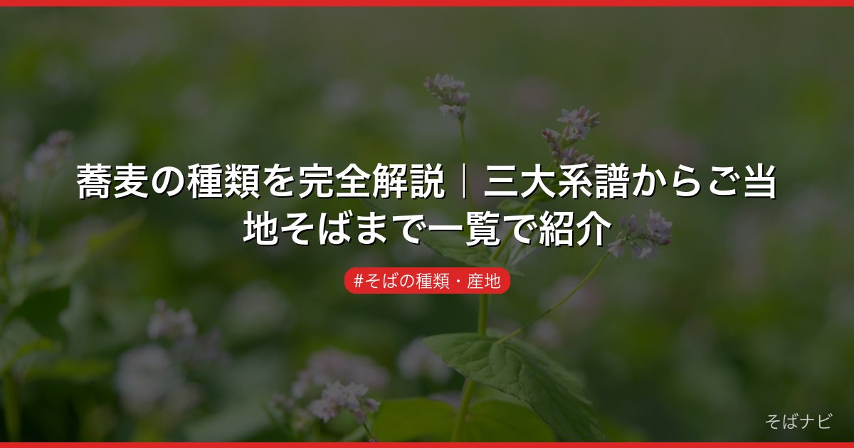 蕎麦の種類を完全解説｜三大系譜からご当地そばまで一覧で紹介