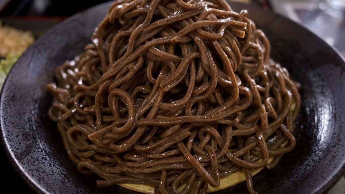 2026 09 14 soba fiber kouka h2 05